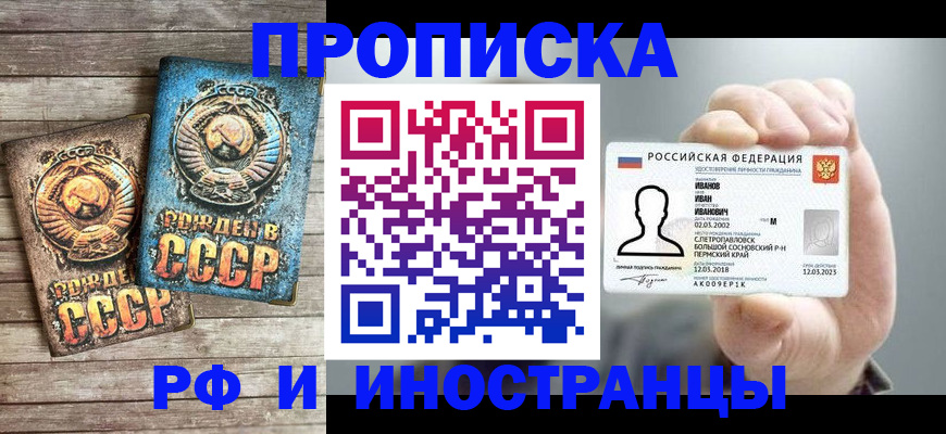 где прописаться в Сольцах